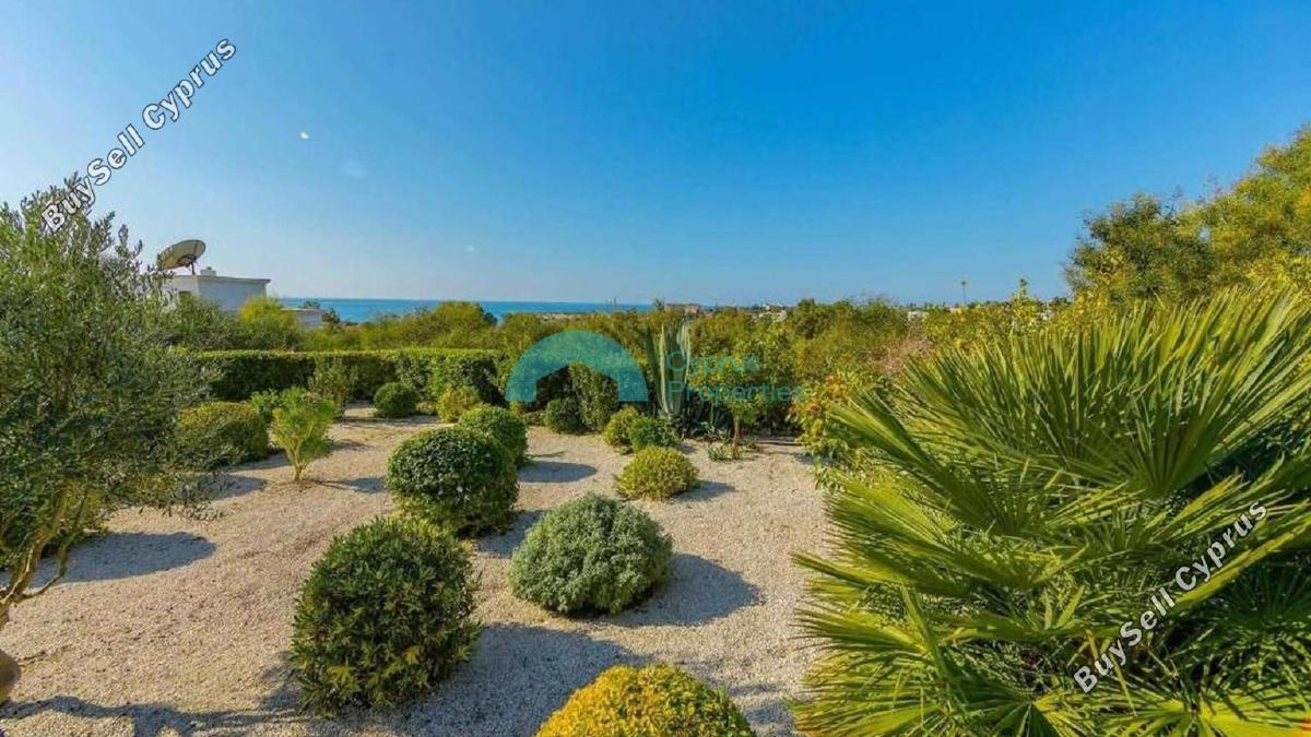 4 bedroom detached house for sale coral bay paphos 8826792 image 16961023