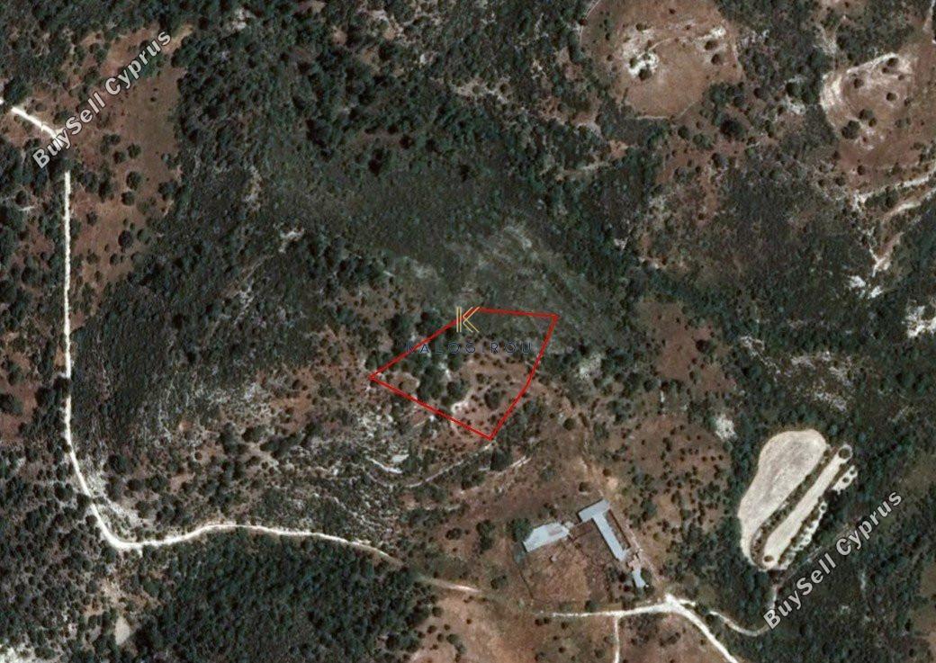 land for sale dora limassol 1194792 image 5570658