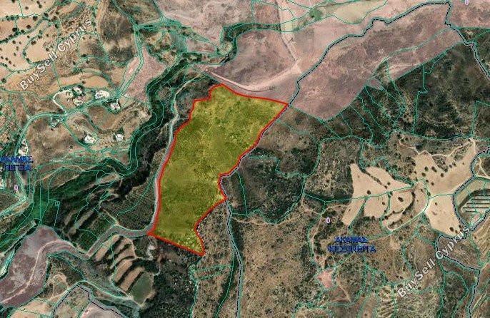 land for sale peyia paphos 8883792 image 17282352