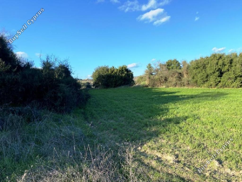 land for sale polemi paphos 981792 image 917403
