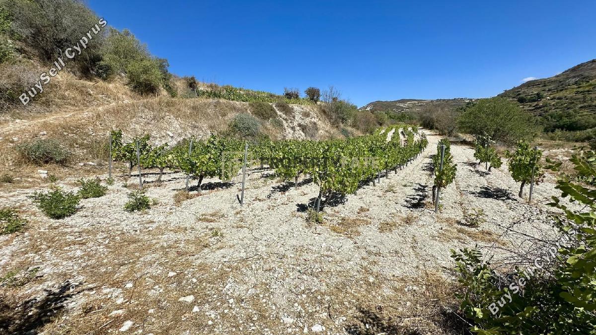 4014 SQM Land for sale in Agios Georgios Silikou, Limassol 16553273