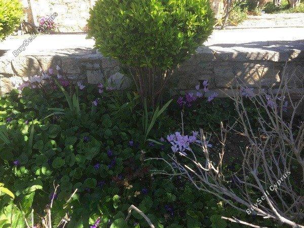 4 bedroom detached house for sale vouni limassol 1682892 image 15720684