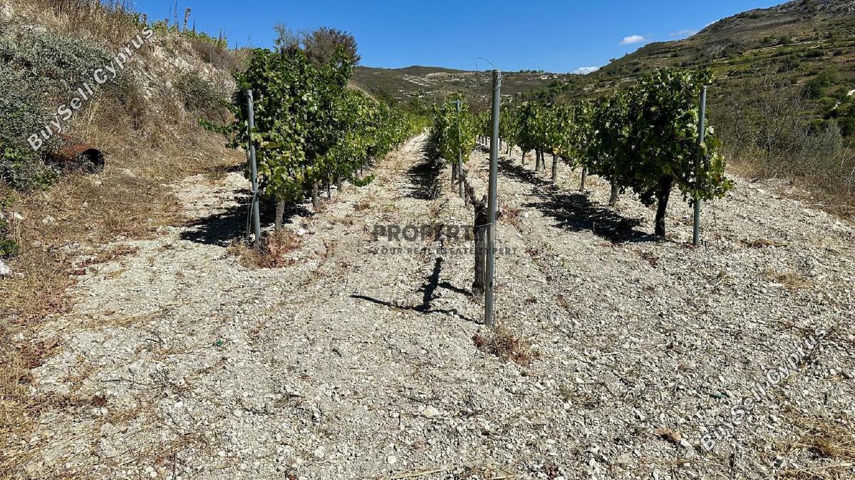 land for sale agios georgios silikou limassol 1924892 image 17373486