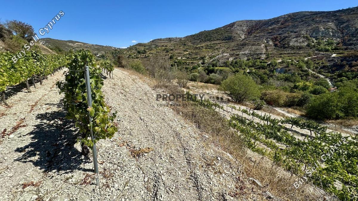 land for sale agios georgios silikou limassol 1924892 image 17373487