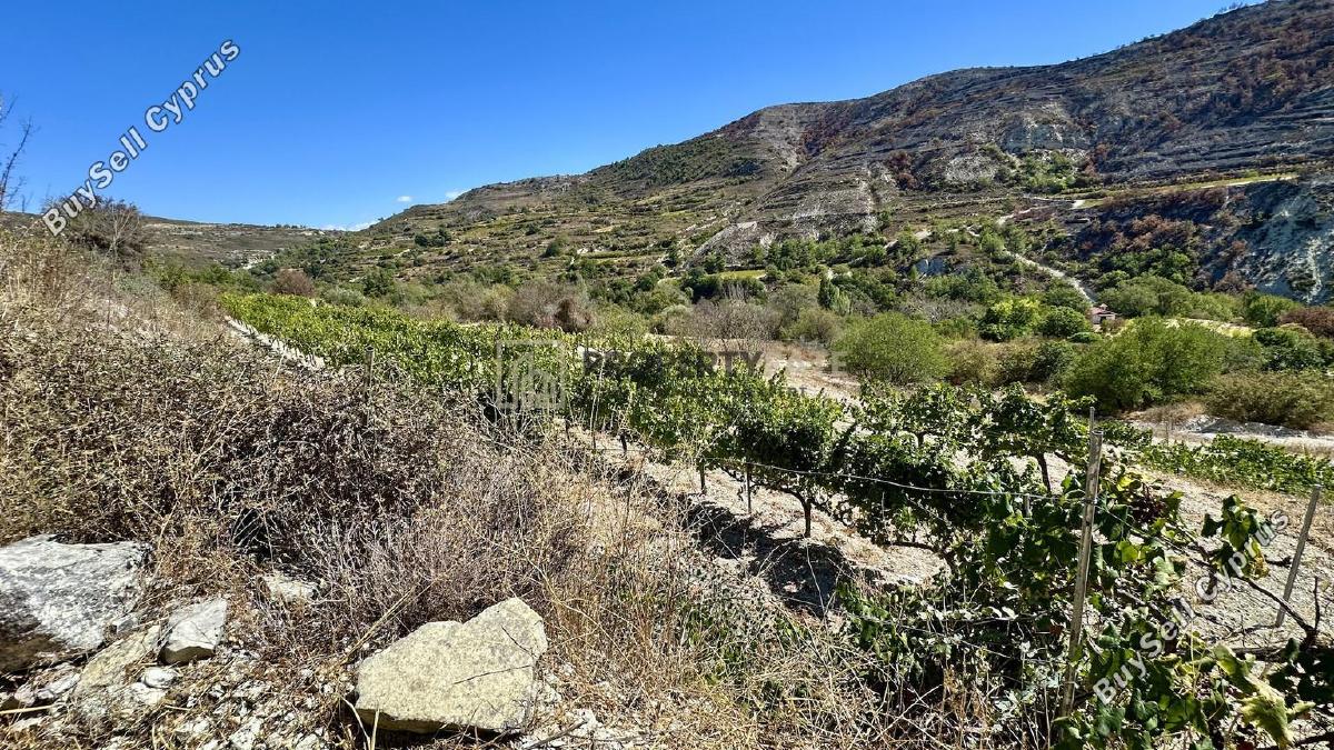 land for sale agios georgios silikou limassol 1924892 image 17373489