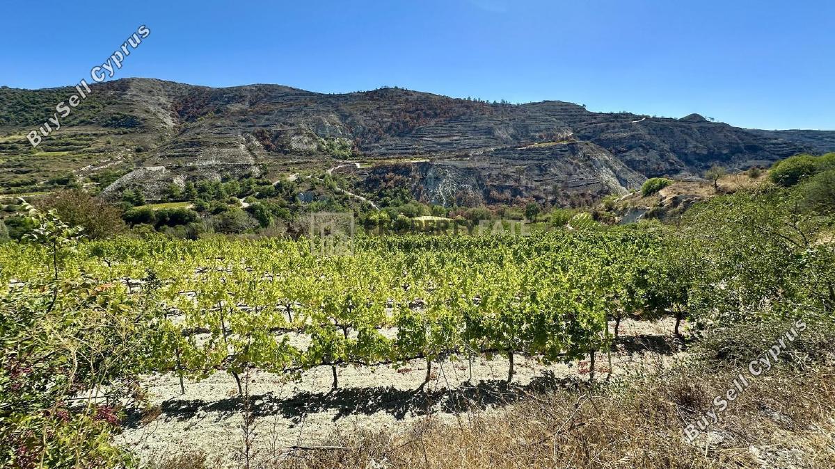 land for sale agios georgios silikou limassol 1924892 image 17373493