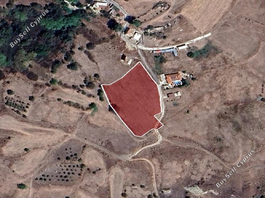 land for sale drynia paphos 8531992 image 16277498