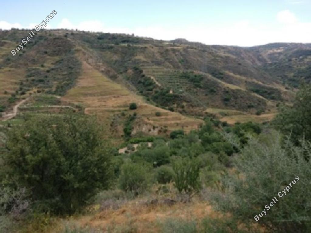 land for sale giolou paphos 8664992 image 17011207