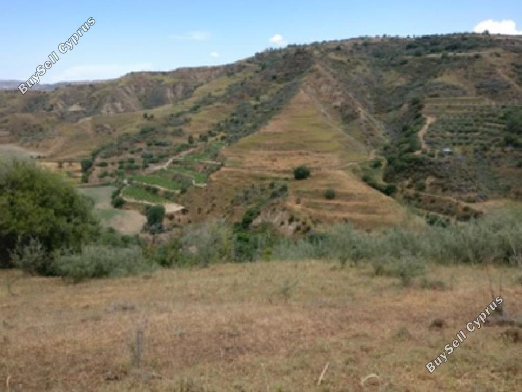 land for sale giolou paphos 8664992 image 17011208
