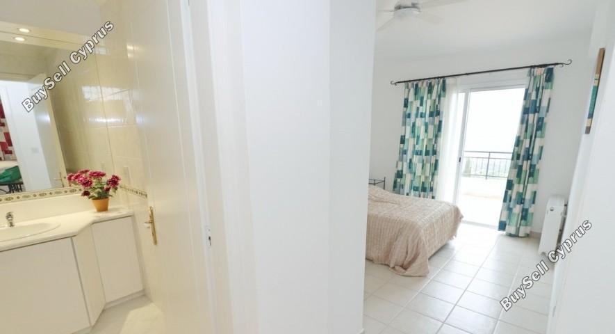 3 bedroom detached house for sale tsada paphos 8645103 image 17165269
