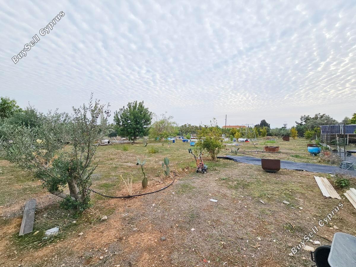4 bedroom bungalow for sale anarita paphos 7937103 image 11292479
