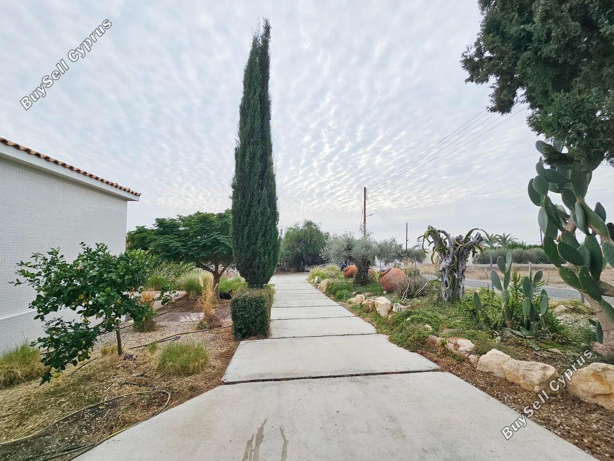 4 bedroom bungalow for sale anarita paphos 7937103 image 11292482