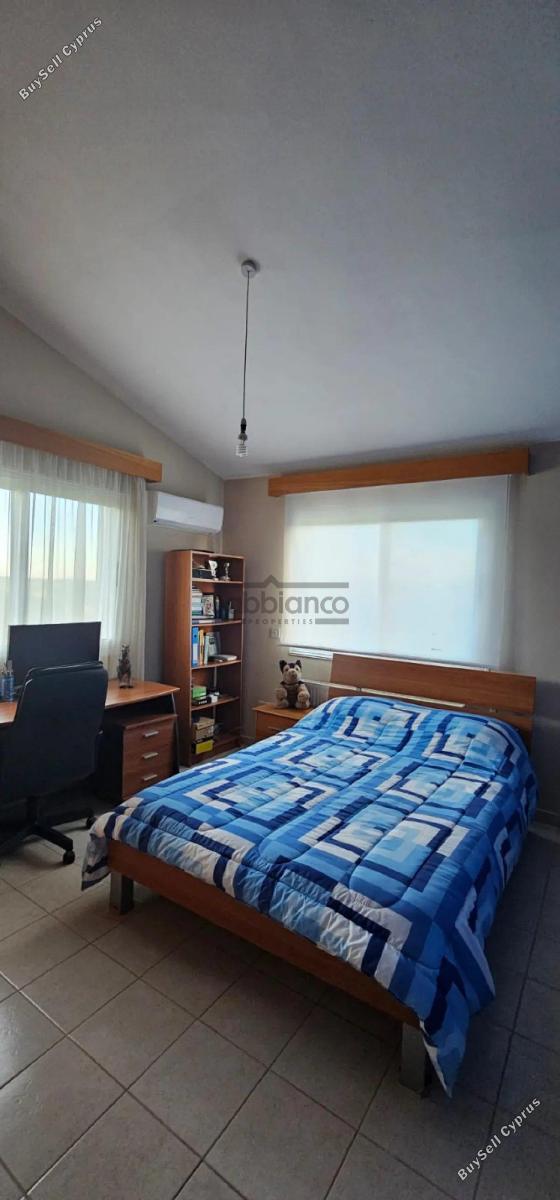 6 bedroom detached house for rent konia paphos 8739103 image 16367085