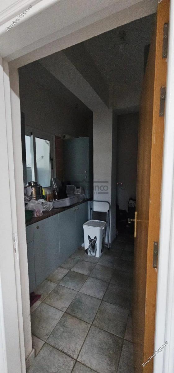 6 bedroom detached house for rent konia paphos 8739103 image 16367086