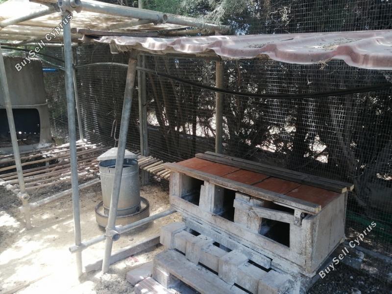 6 bedroom detached house for sale kato lakatamia nicosia 1073103 image 16169130