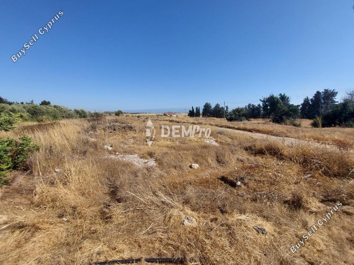 land for sale kouklia pafou paphos 7813103 image 12703023
