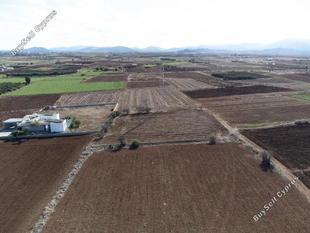 land for sale peristerona lefkosias nicosia 8269103 image 13957630