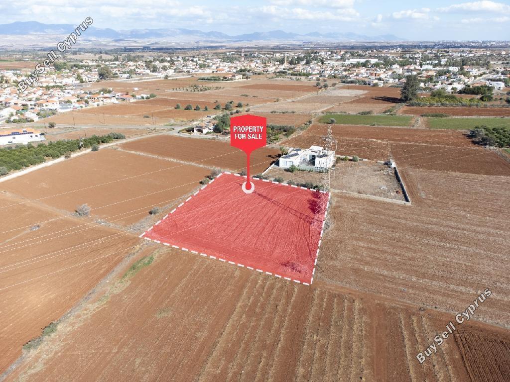 land for sale peristerona lefkosias nicosia 8269103 image 13957632