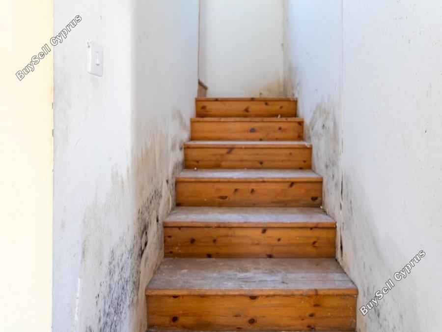 3 bedroom detached house for sale nata paphos 8711203 image 17011581