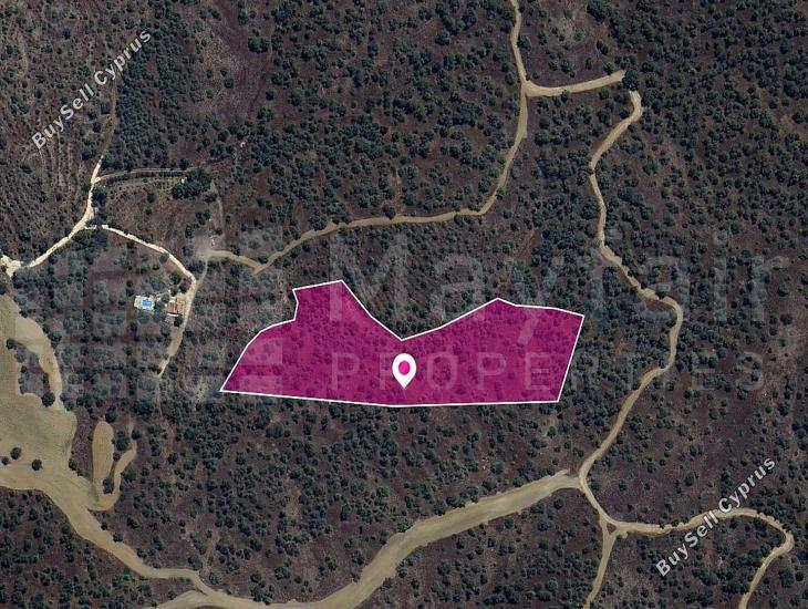 land for sale evrychou nicosia 7872203 image 14891851