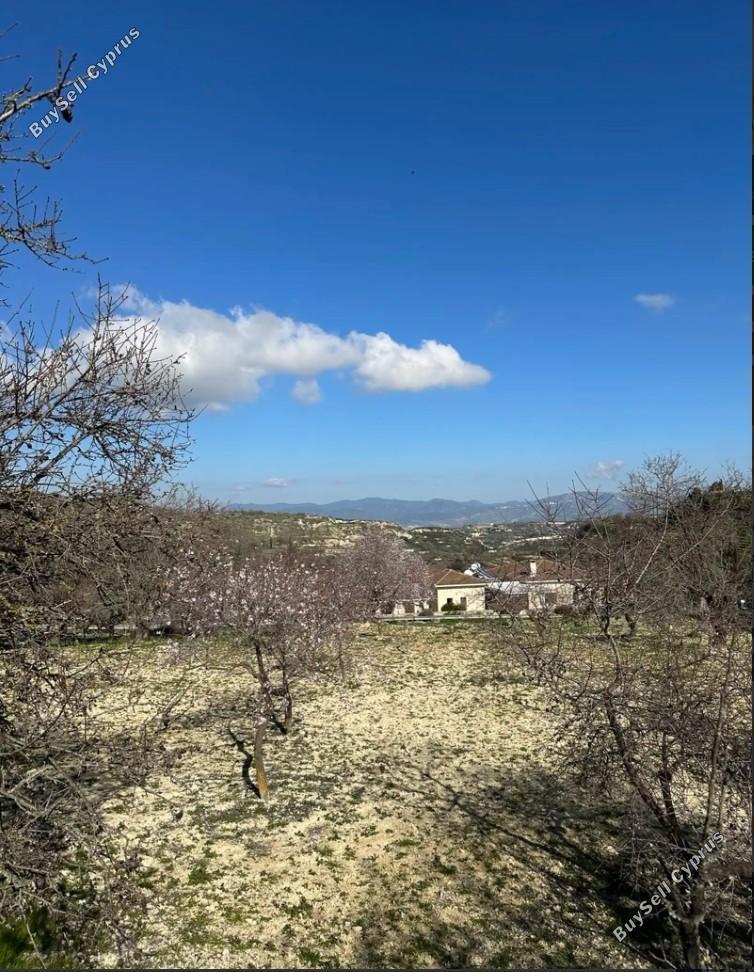 land for sale tsada paphos 8525203 image 15938942