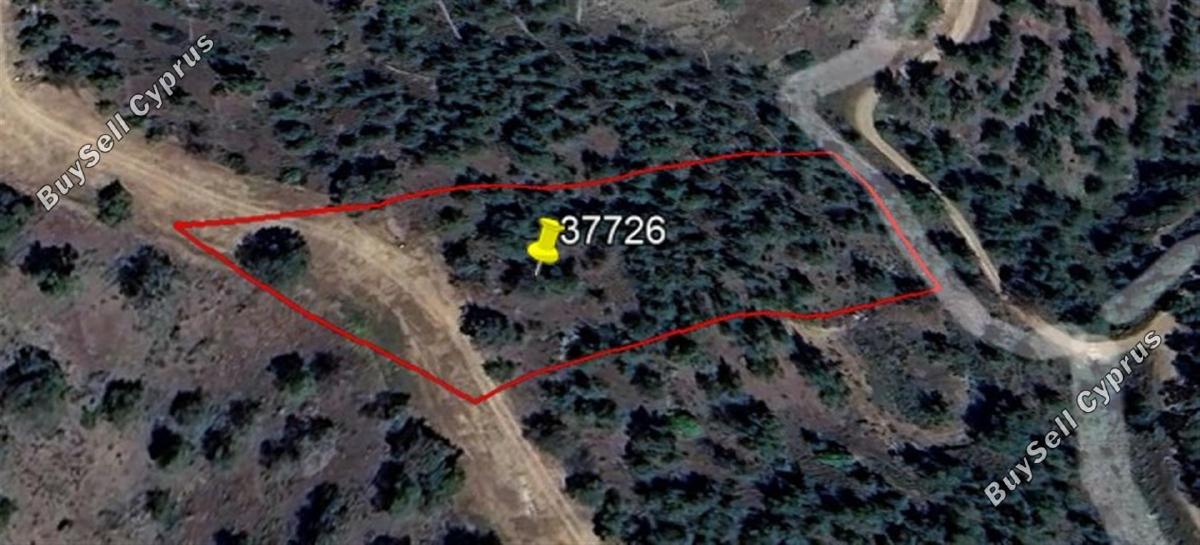 4880 SQM Land for sale in Agios Epifanios Oreinis, Nicosia 16160597