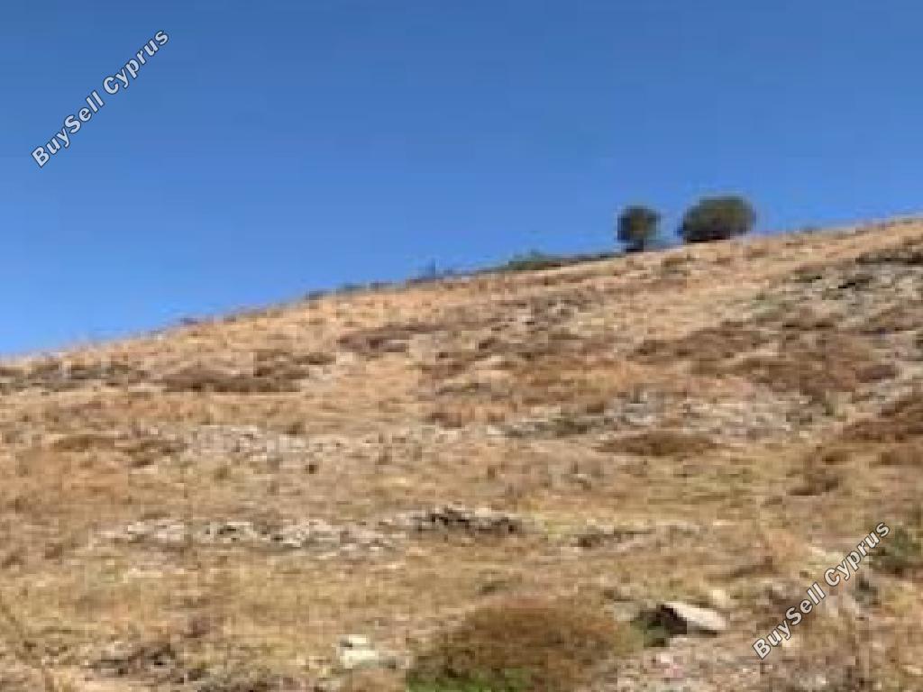 5017 SQM Land for sale in Episkopi Pafou, Paphos 15868185