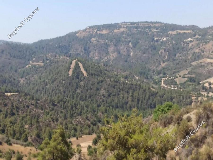land for sale kinousa paphos 8630403 image 16277996