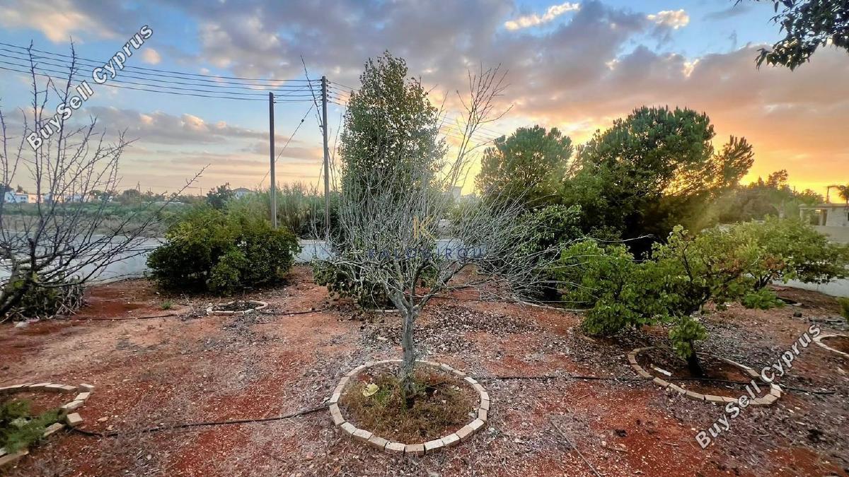 4 bedroom detached house for sale xylofagou larnaca 1526503 image 15615425