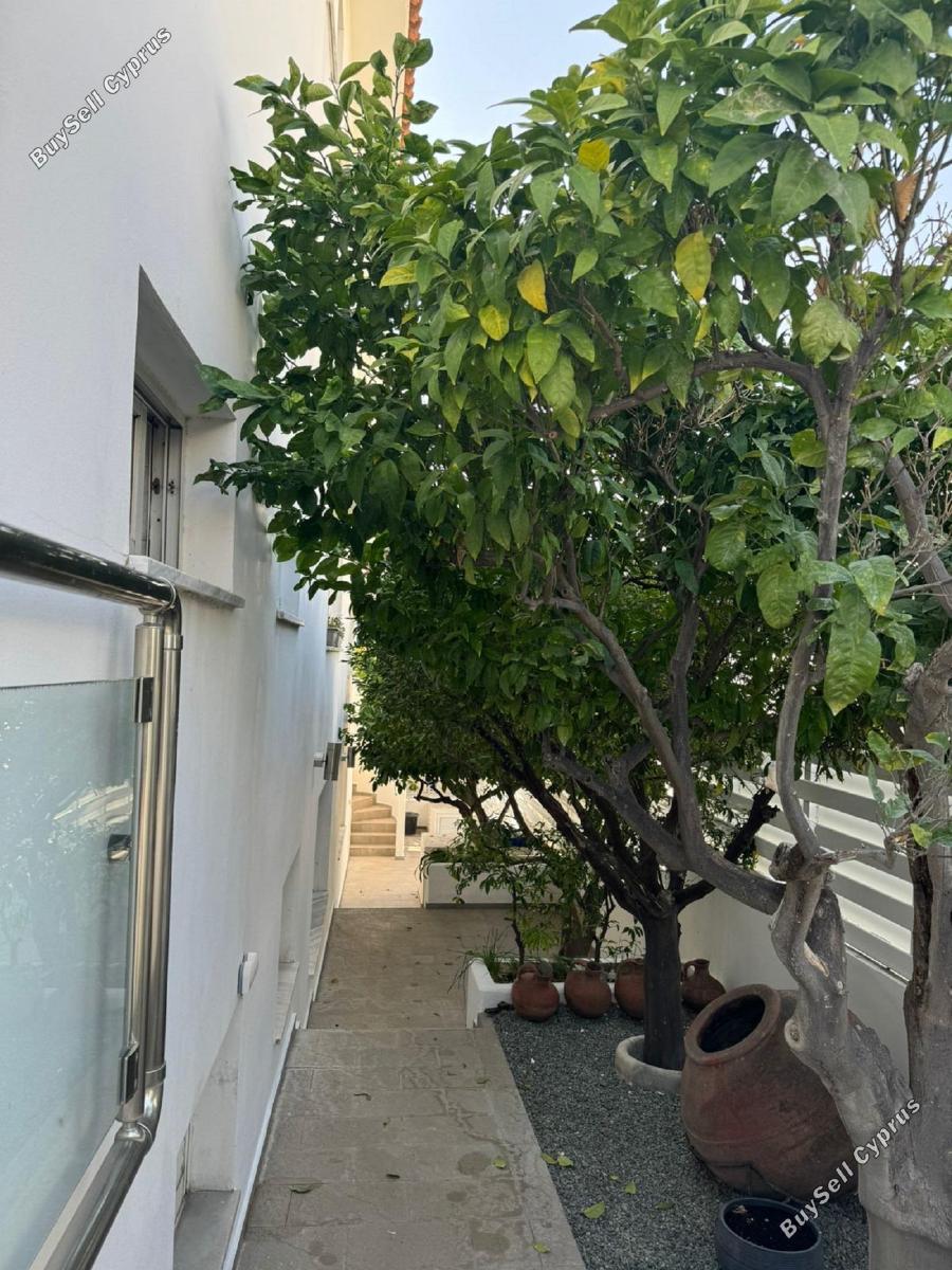 6 bedroom detached house for sale kapsalos limassol 1570503 image 4082393