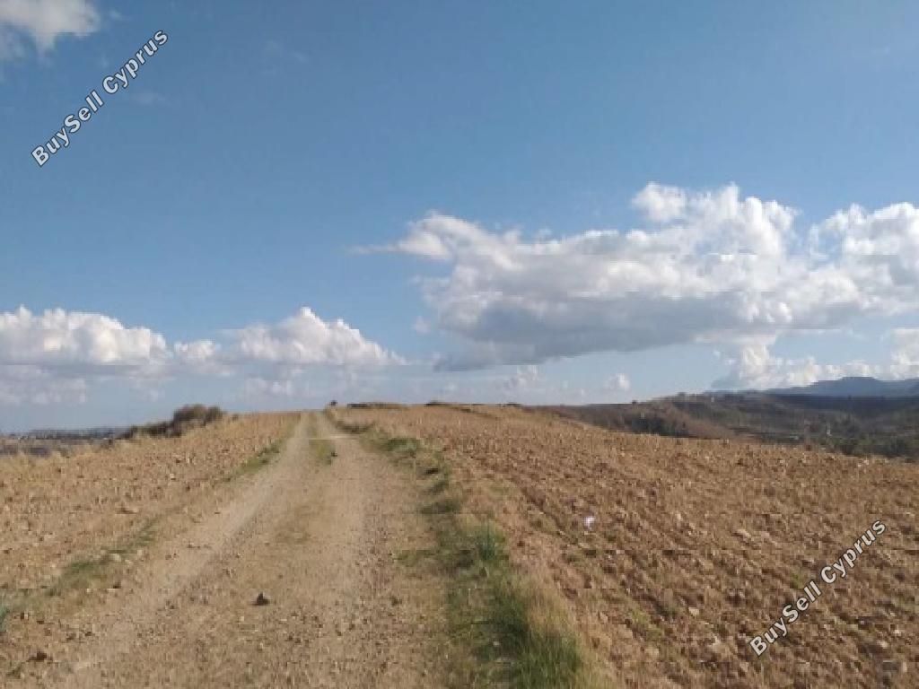 land for sale agrokipia nicosia 1464503 image 15600363