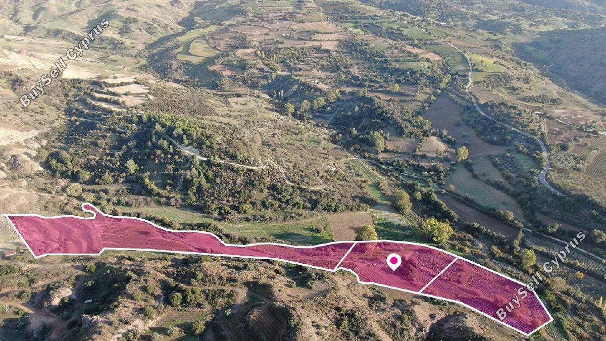 land for sale kannaviou paphos 8237603 image 14231173