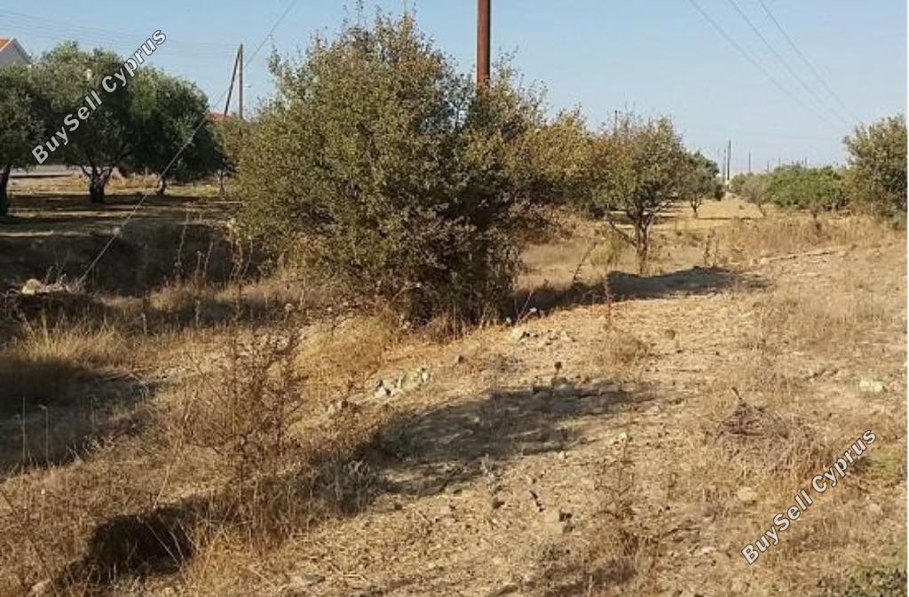 land for sale pera orinis nicosia 8266603 image 15930539