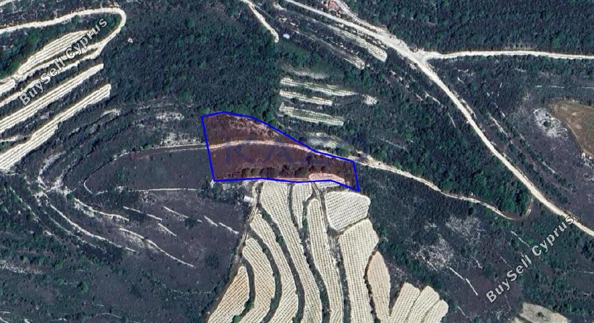 6021 SQM Land for sale in Malia, Limassol 9776736