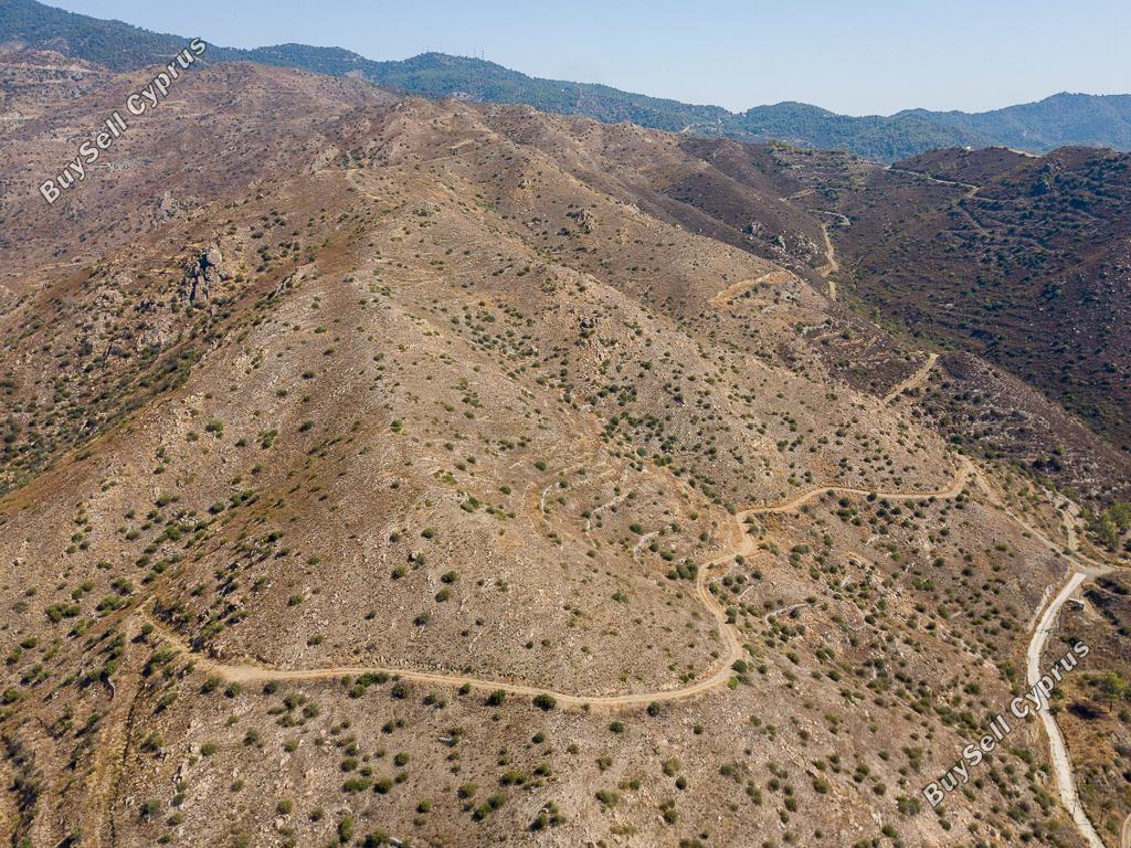 land for sale ora larnaca 1016703 image 3988689