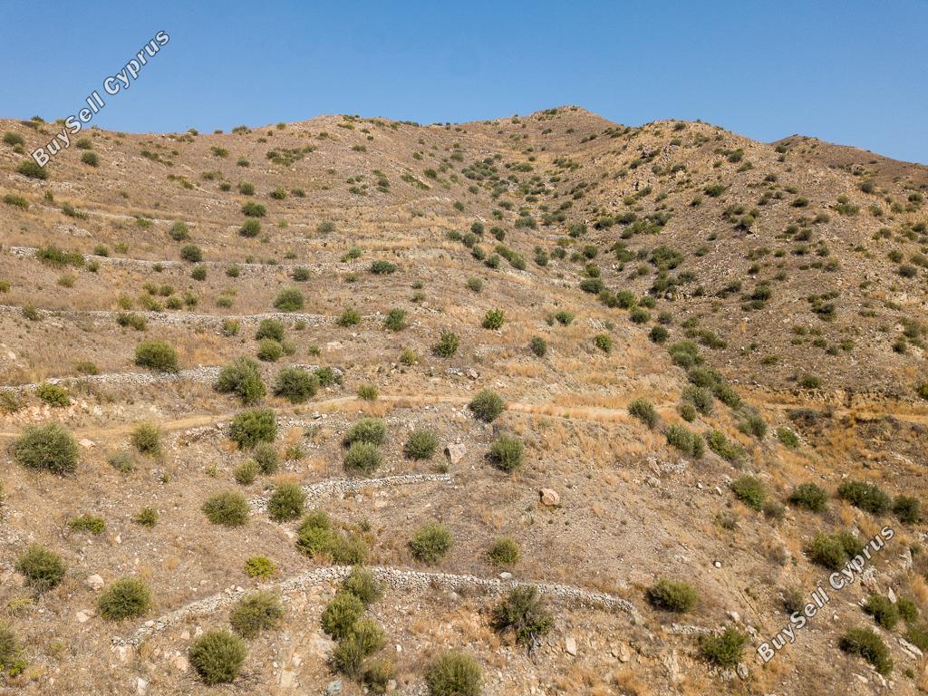 land for sale ora larnaca 1016703 image 3988690
