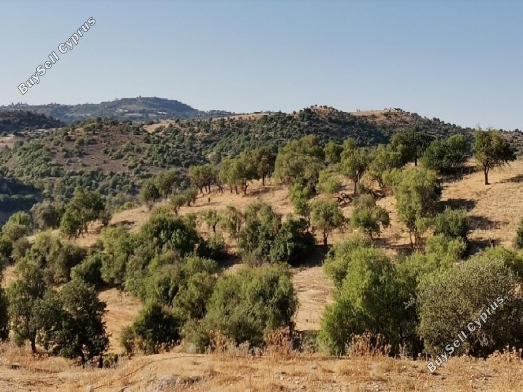 land for sale pitargou paphos 1174703 image 15600796