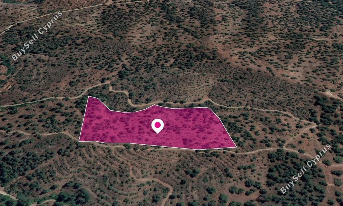19399 SQM Land for sale in Agios Theodoros Soleas, Nicosia 15869949