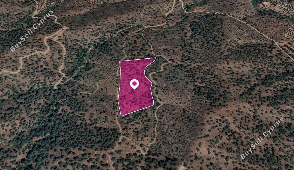 land for sale agios theodoros soleas nicosia 8629803 image 15869948