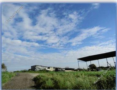 land for sale dromolaxia larnaca 1284803 image 5621920