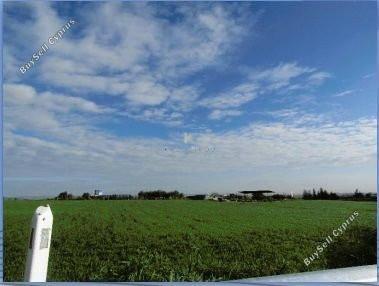 land for sale dromolaxia larnaca 1284803 image 5621927