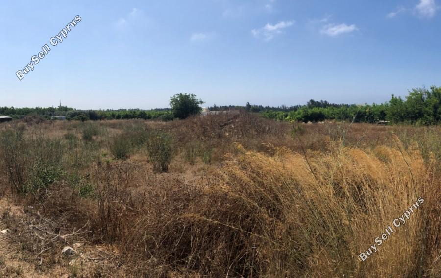 land for sale geroskipou paphos 1354803 image 5608299