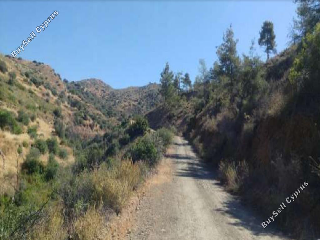 land for sale ora larnaca 945803 image 15603410