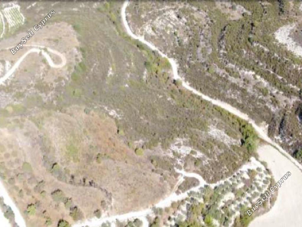 land for sale pachna limassol 8592803 image 15712618
