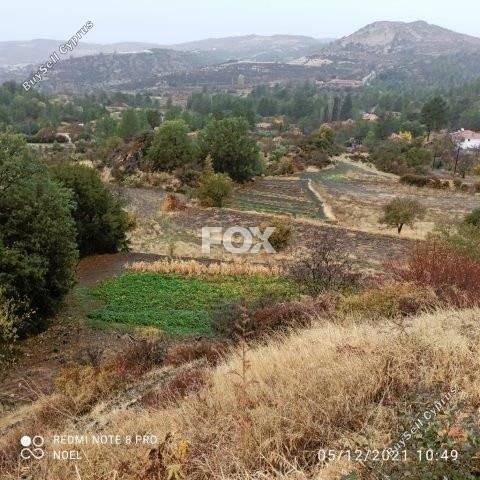 land for sale pera pedi limassol 1374803 image 5604695