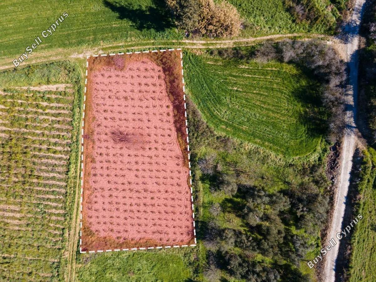 land for sale polemi paphos 8716803 image 16306703
