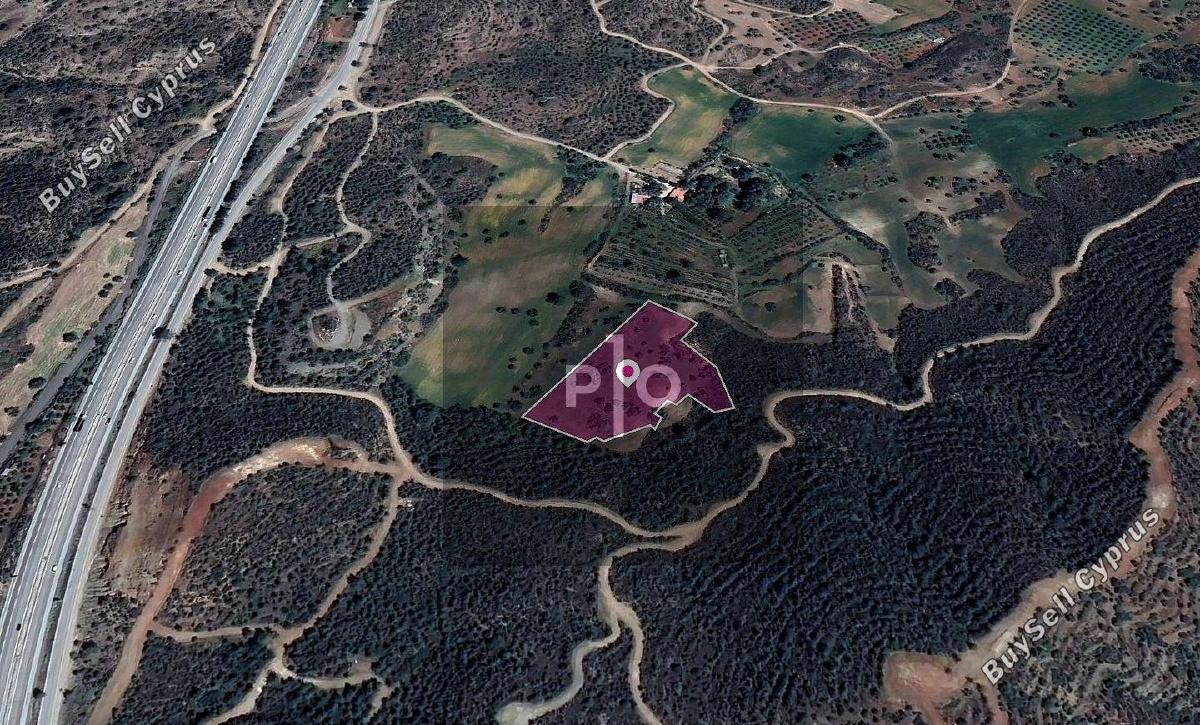 9031 SQM Land for sale in Kofinou, Larnaca 15156233