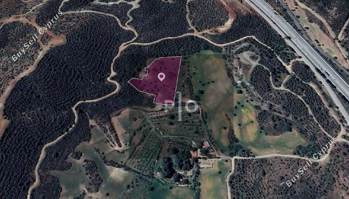 land for sale kofinou larnaca 8274903 image 15156231
