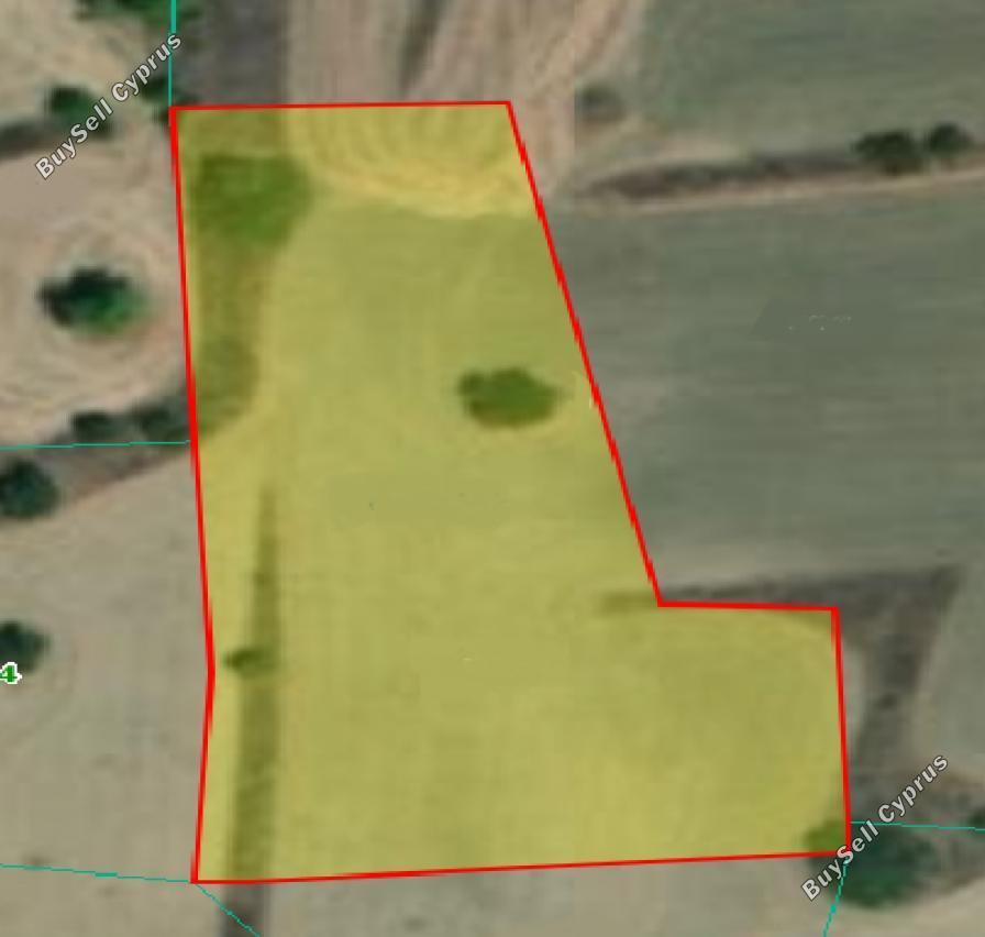 land for sale mitsero nicosia 1890903 image 16176734