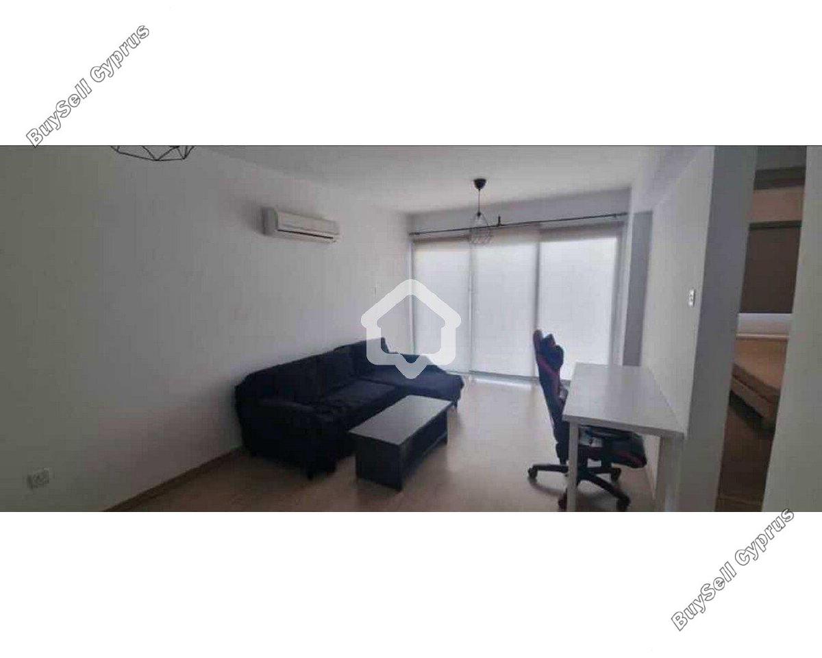 1 bedroom apartment for rent aglantzia nicosia 8645013 image 16336054